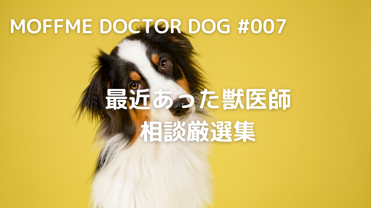 【MOFFME DOCTOR DOG】お水を飲まない。これって大丈夫なの？のサムネイル画像